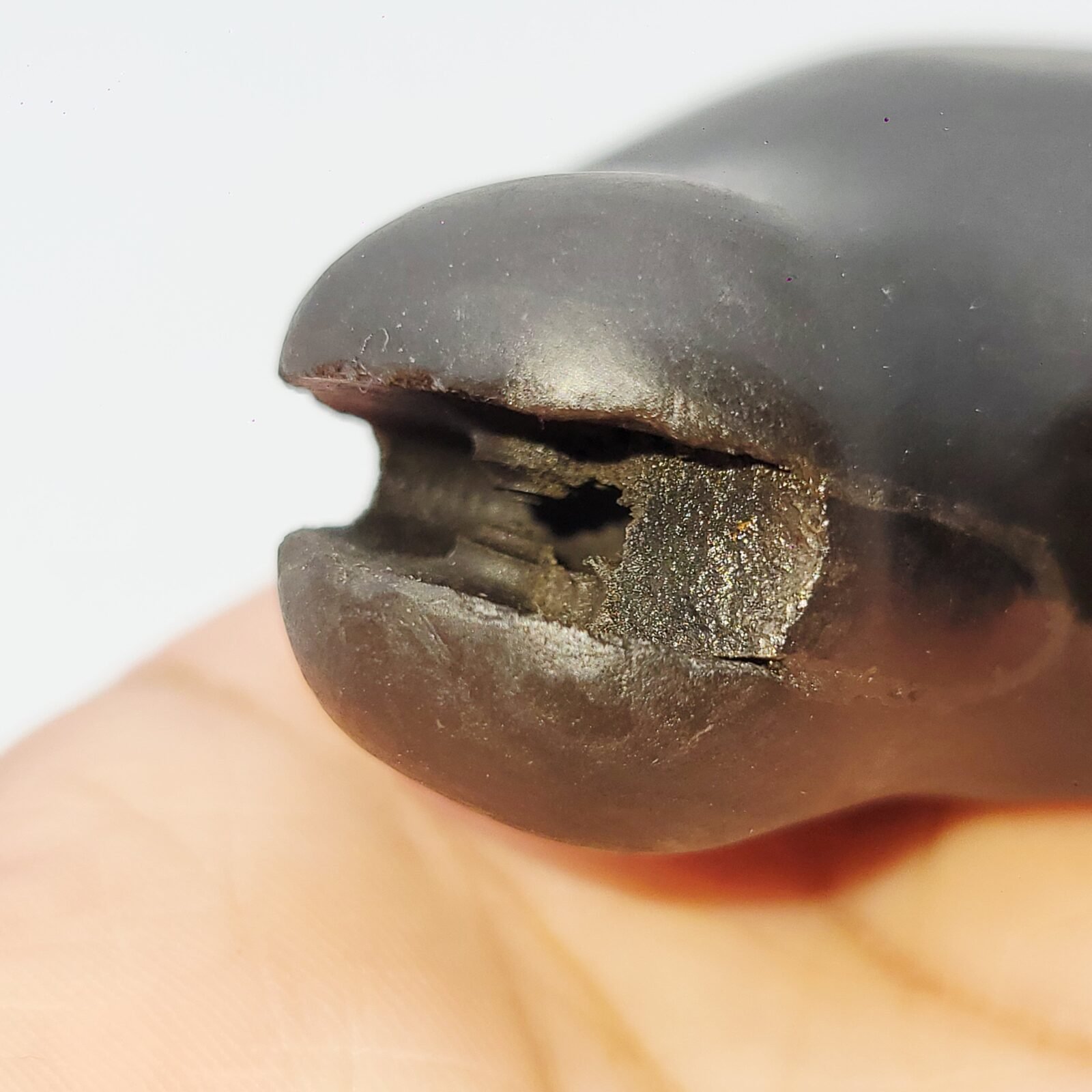 KURMA SHALIGRAM RAREST 4 CHAKRA NATURAL (2 IN MOUTH + 2 IN TAIL) - Image 10