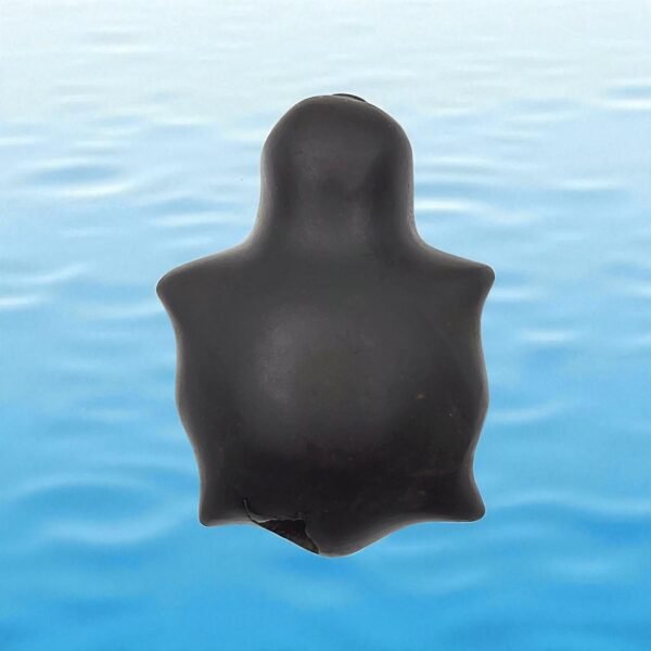 KURMA SHALIGRAM RAREST 4 CHAKRA NATURAL (2 IN MOUTH + 2 IN TAIL)