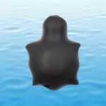 KURMA SHALIGRAM RAREST 4 CHAKRA NATURAL (2 IN MOUTH + 2 IN TAIL)