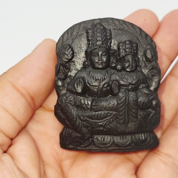 LAKSHMI NARAYAN CARVED ON REAL SHALIGRAM (100% NATURAL SUDARSHAN)
