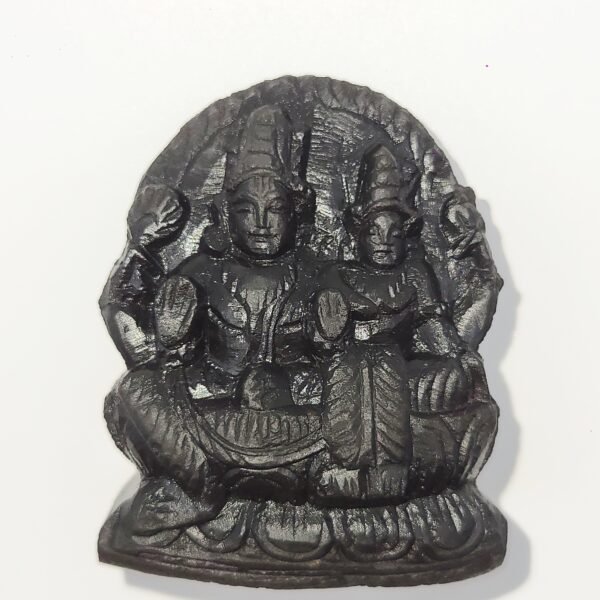 LAKSHMI NARAYAN CARVED ON REAL SHALIGRAM (100% NATURAL SUDARSHAN)