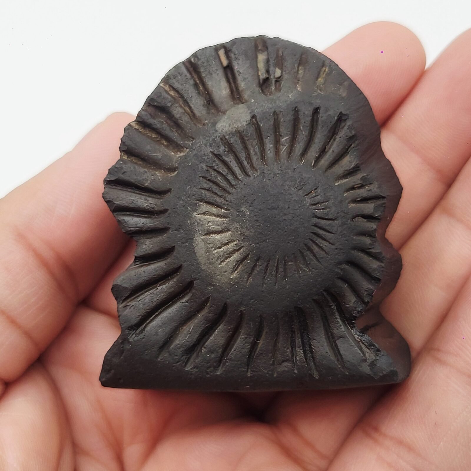LAKSHMI NARAYAN IDOL CARVED ON REAL SHALIGRAM (100% NATURAL SUDARSHAN) by Gangtarang™ - Image 4