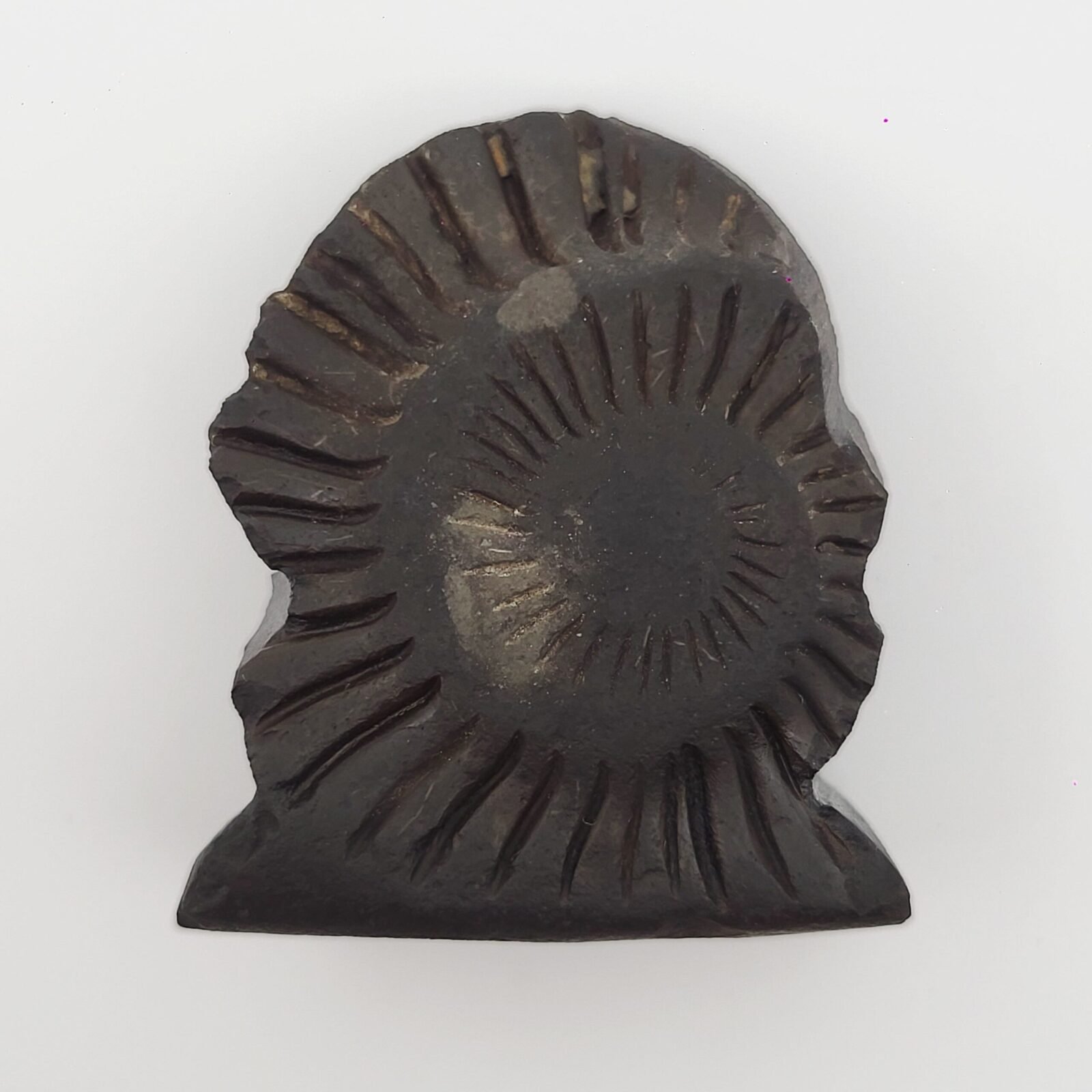 LAKSHMI NARAYAN IDOL CARVED ON REAL SHALIGRAM (100% NATURAL SUDARSHAN) by Gangtarang™ - Image 2