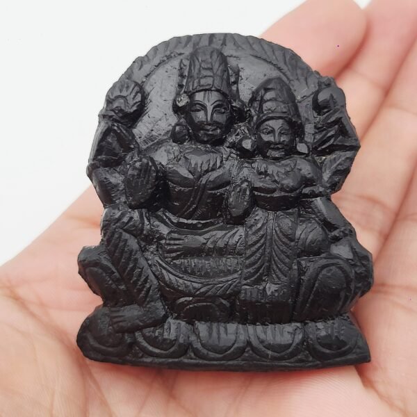 LAKSHMI NARAYAN CARVED ON REAL SHALIGRAM (100% NATURAL SUDARSHAN)