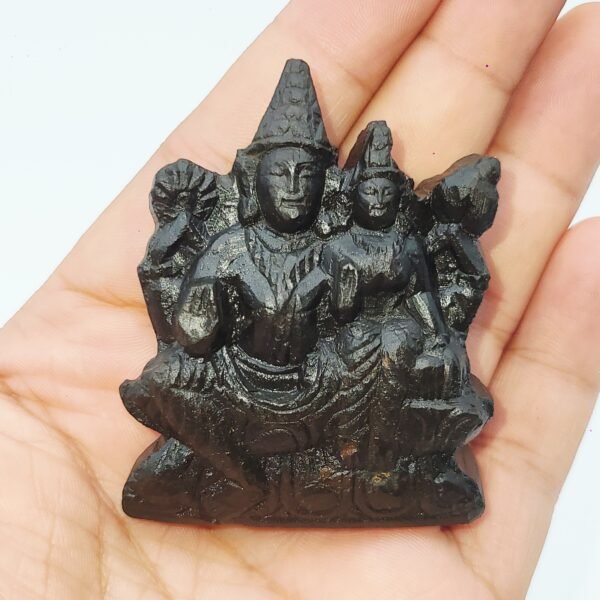 ADVAIT LAKSHMI NARAYAN CARVED ON REAL SHALIGRAM (100% NATURAL SUDARSHAN)