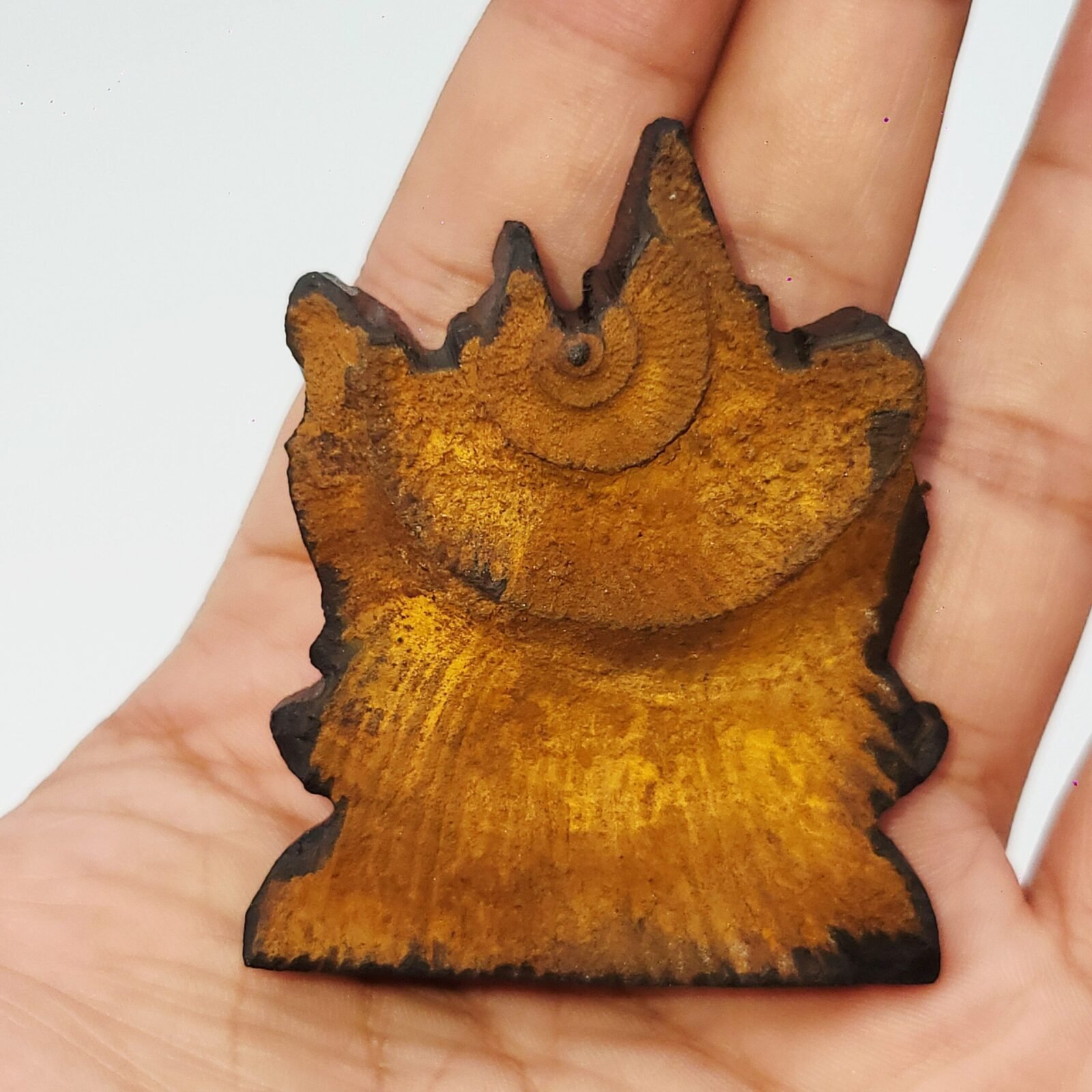 ADVAIT LAKSHMI NARAYAN CARVED ON REAL SHALIGRAM (100% NATURAL SUDARSHAN) - Image 2