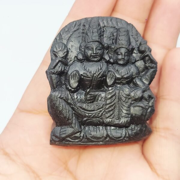 SWARN LAKSHMI NARAYAN CARVED ON REAL SHALIGRAM (100% NATURAL SUDARSHAN)