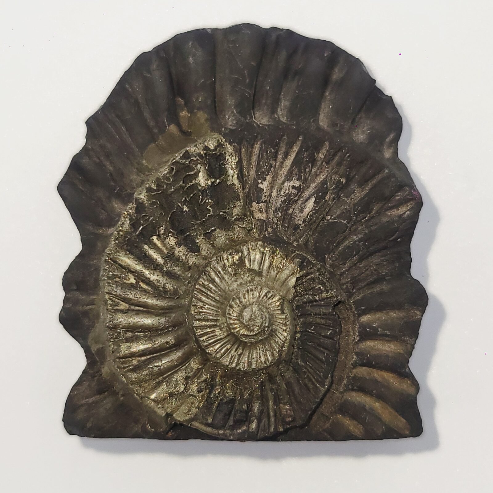 SWARN LAKSHMI NARAYAN IDOL CARVED ON REAL SHALIGRAM (100% NATURAL SUDARSHAN) by Gangtarang™ - Image 4
