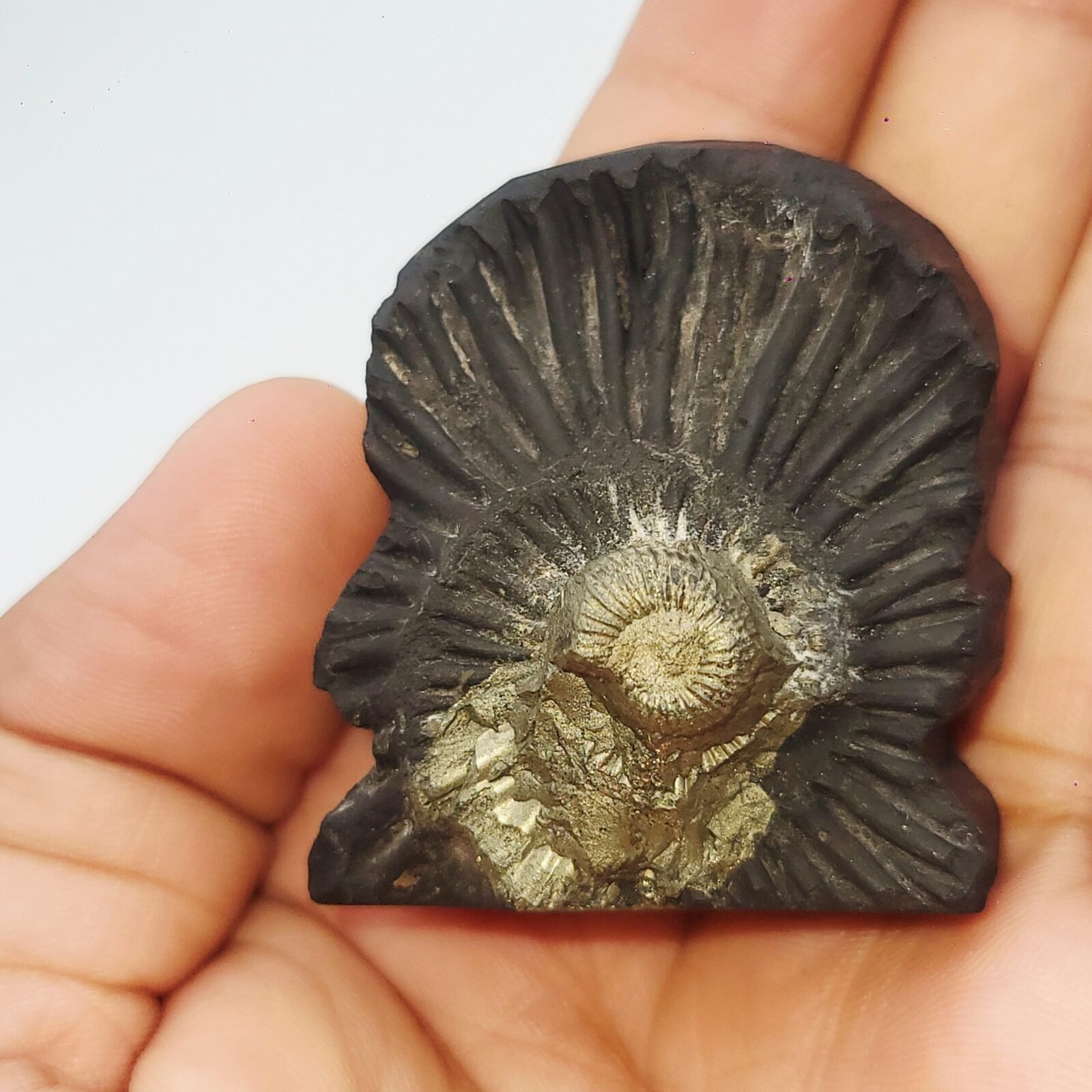SWARN LAKSHMI NARAYAN CARVED ON REAL SHALIGRAM (100% NATURAL SUDARSHAN) - Image 2