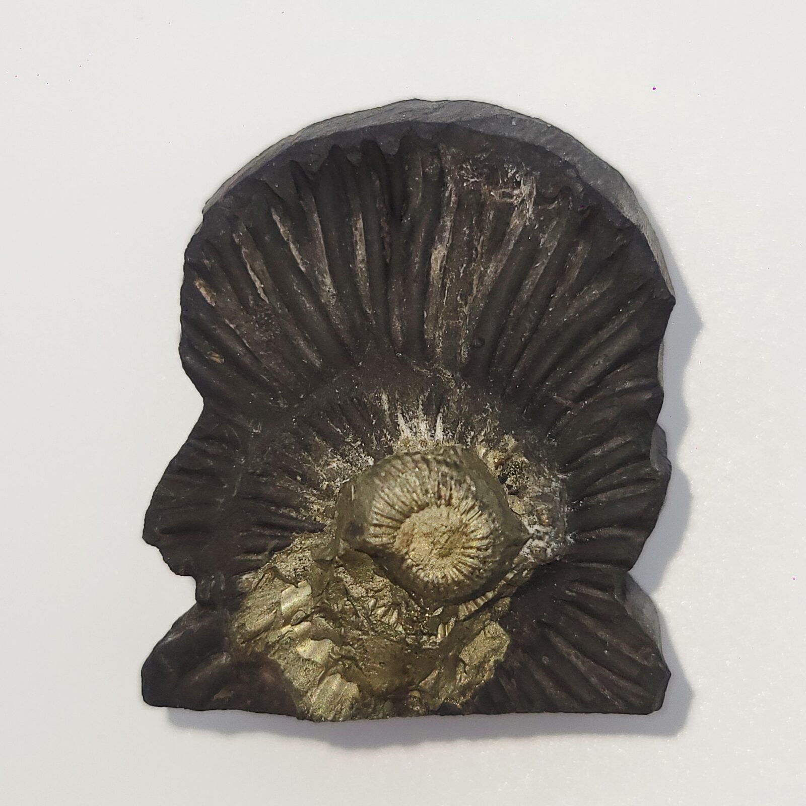 SWARN LAKSHMI NARAYAN IDOL CARVED ON REAL SHALIGRAM (100% NATURAL SUDARSHAN) by Gangtarang™ - Image 6