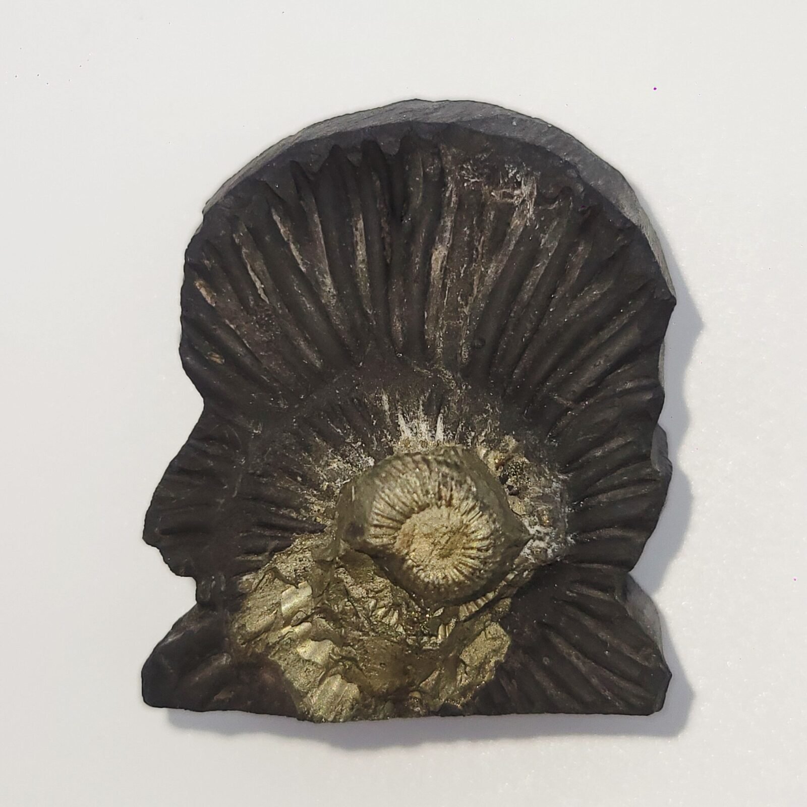 SWARN LAKSHMI NARAYAN CARVED ON REAL SHALIGRAM (100% NATURAL SUDARSHAN) - Image 6