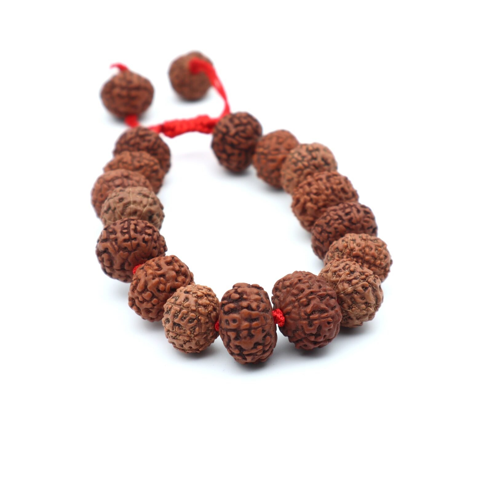 9 MUKHI RUDRAKSHA BRACELET (Adjustable Sliding Knot) by Gangtarang® with Lab Certificate - Image 7
