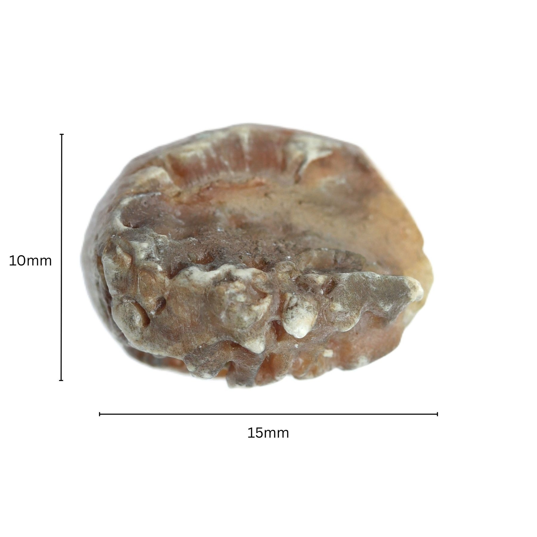 NATURAL CHANDRA MANI by Gangtarang® - Govt Lab Certified 5 chandra mani