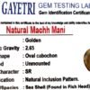 mach mani