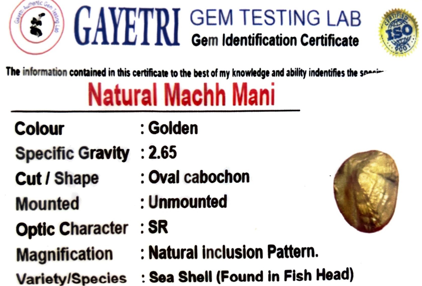 NATURAL MACHH MANI by Gangtarang® - Govt Lab Certified 3 mach mani
