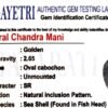 chandra mani