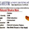 shukra mani