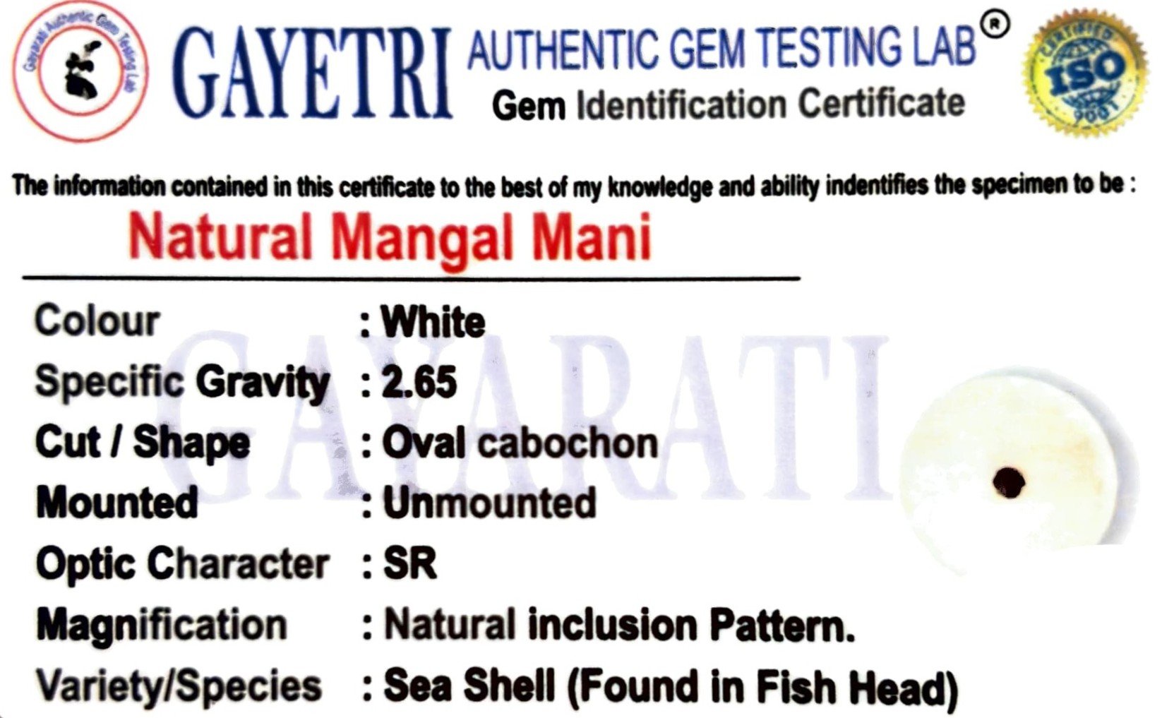 NATURAL MANGAL MANI by Gangtarang® - Govt Lab Certified 3 mangal mani