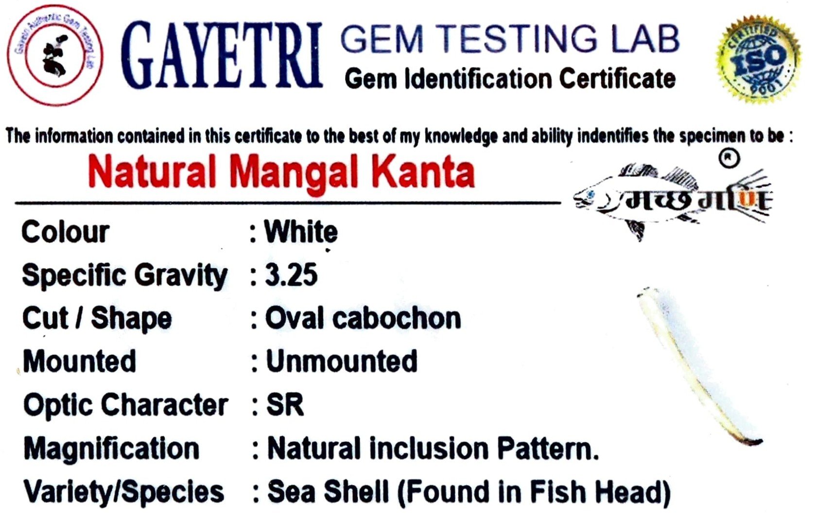 NATURAL MANGAL KATA by Gangtarang® - Govt Lab Certified 3 mangal kata