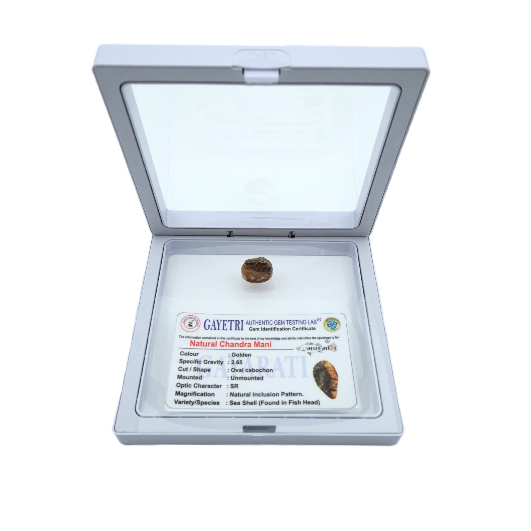 NATURAL CHANDRA MANI by Gangtarang® - Govt Lab Certified 8 chandra mani