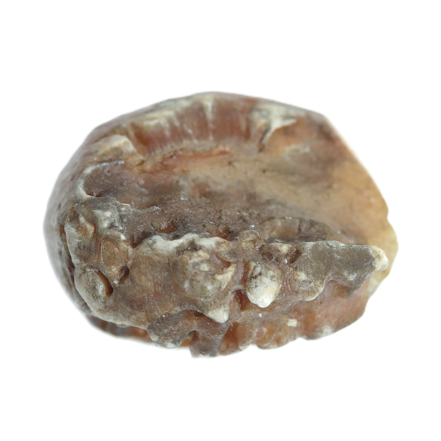 NATURAL CHANDRA MANI by Gangtarang® - Govt Lab Certified 1 chandra mani