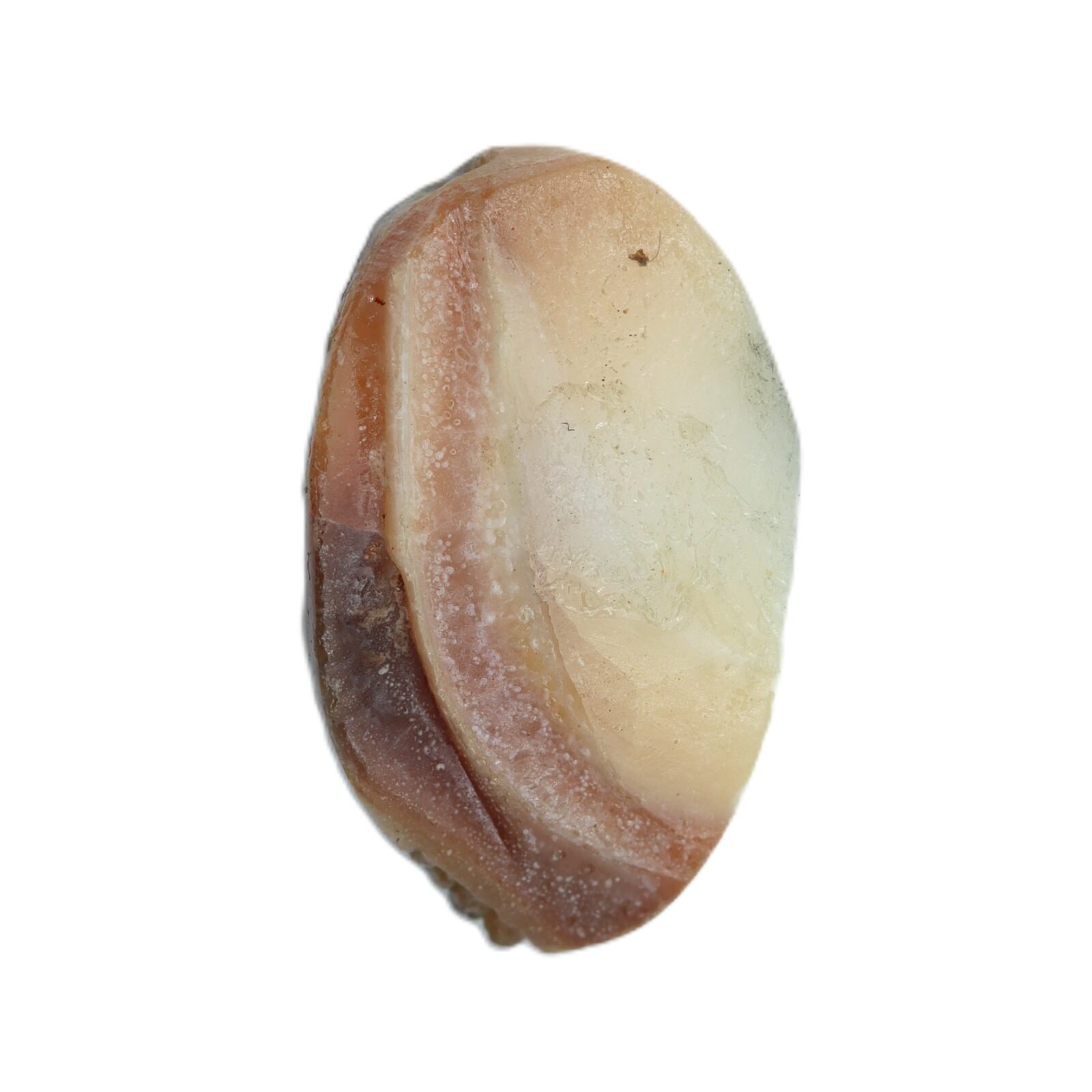shukra mani