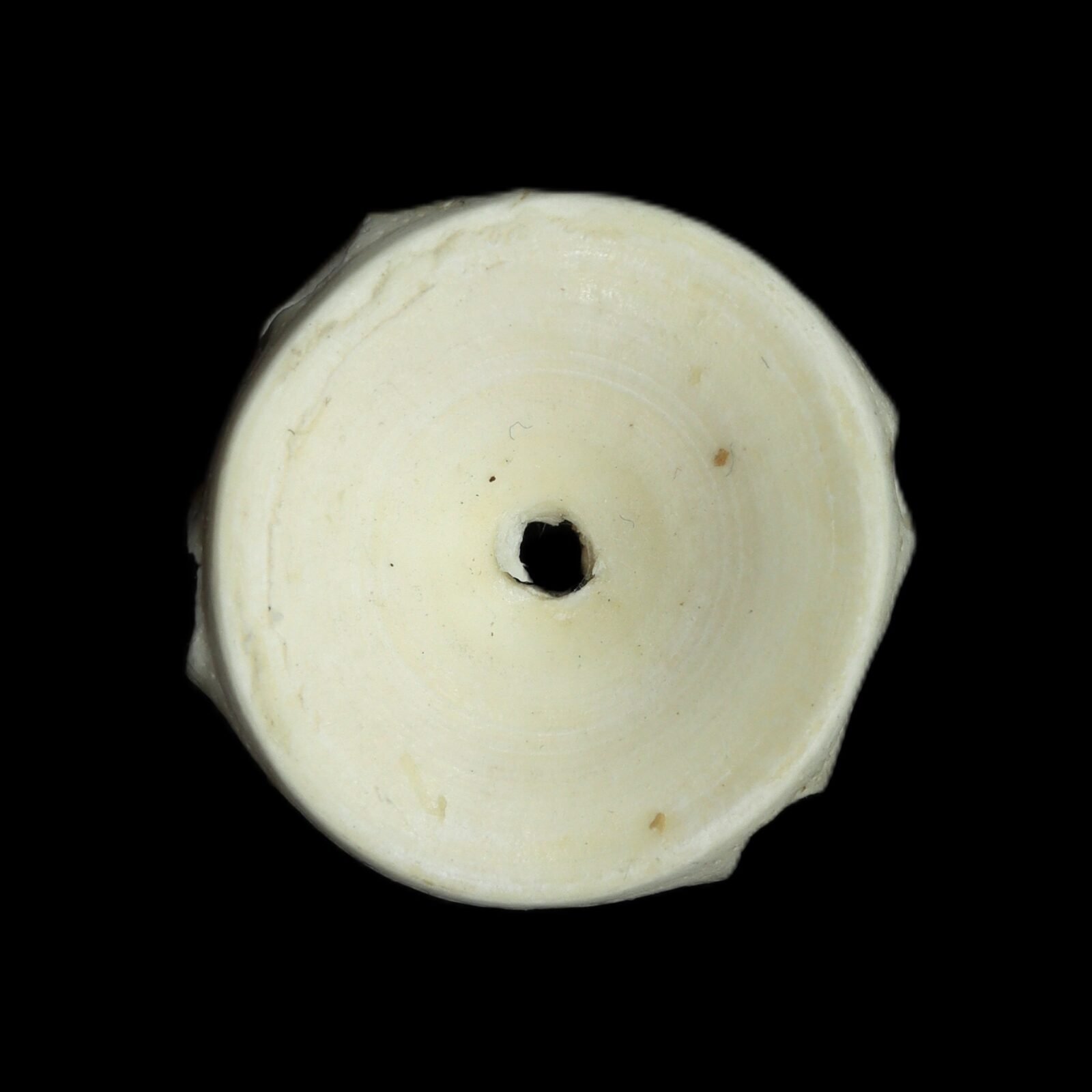 mangal mani