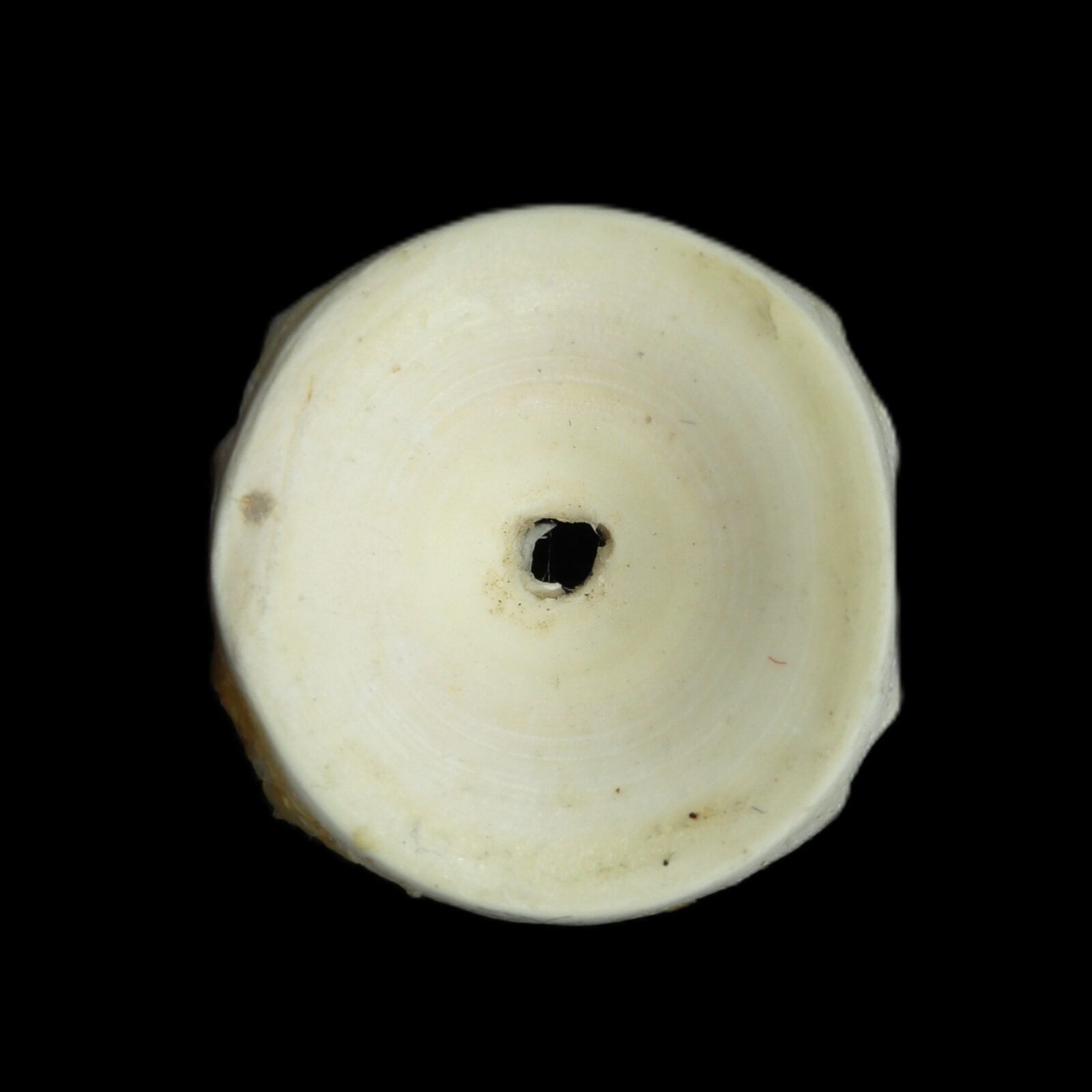 mangal mani