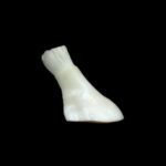 NATURAL KETU MANI ( Also Mukta Mani ) by Gangtarang® - Govt Lab Certified