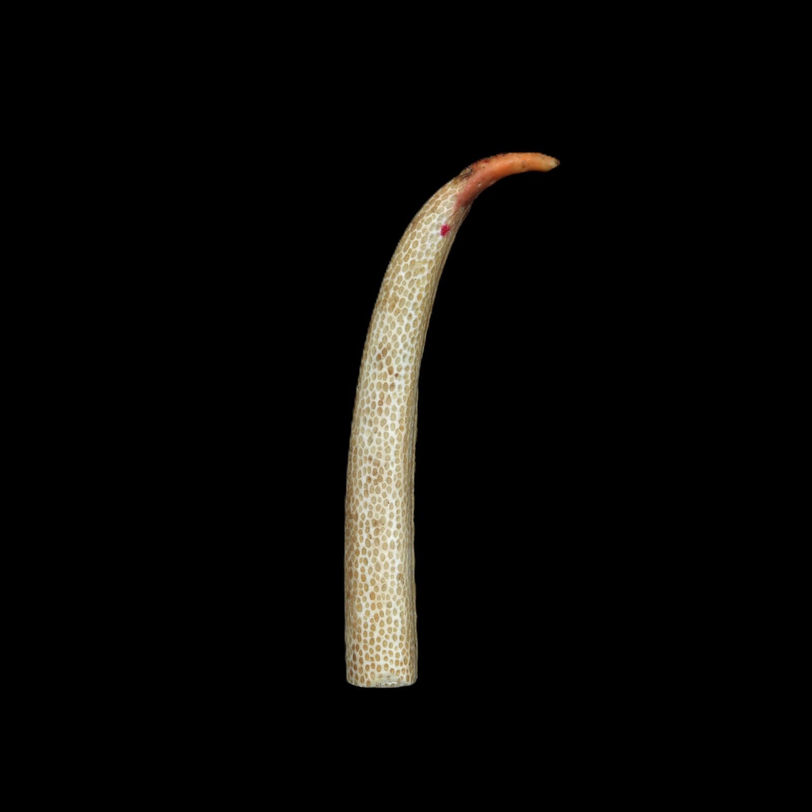 mangal kata