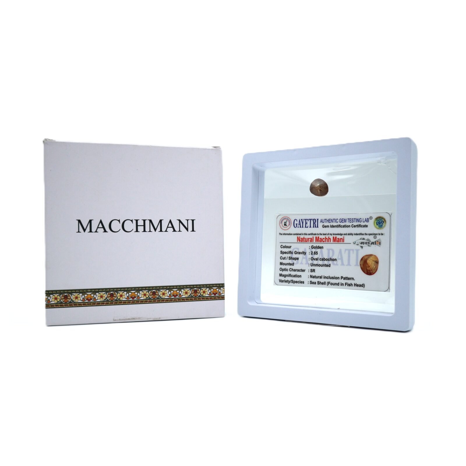 macch mani
