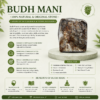 budh mani infographics