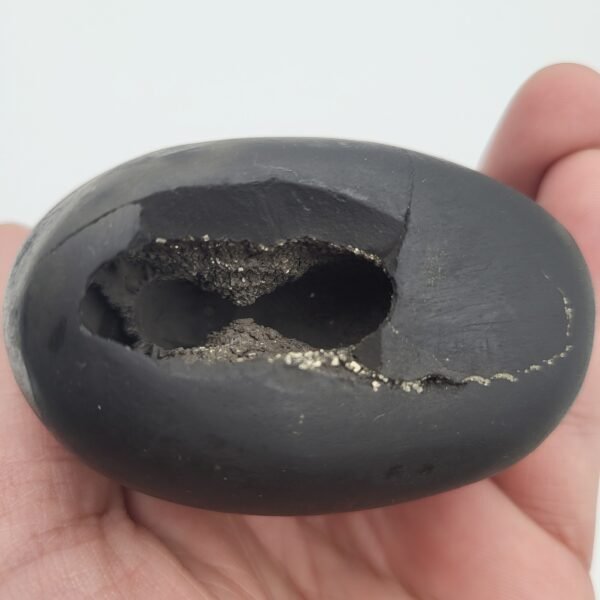 DHAN KUBER SHALIGRAM for Unlimited Weath (RARE)