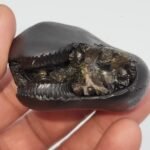 ANANT SHESH SHALIGRAM - Vasuki Shesh Naag Roop (RARE)