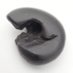 ANANT SHESH SHALIGRAM - Aadi Shesh Roop (RARE)