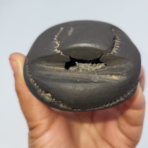 JANARDAN GADHADHAR SHALIGRAM (RARE)