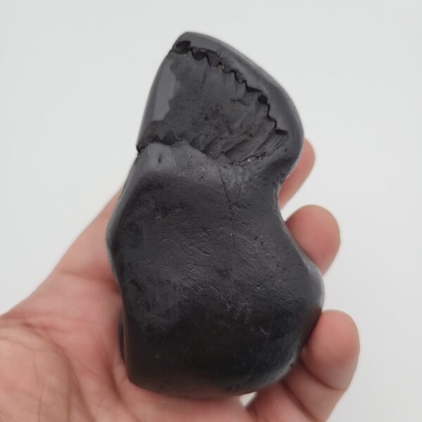 PARSHURAM SHALIGRAM (RARE)